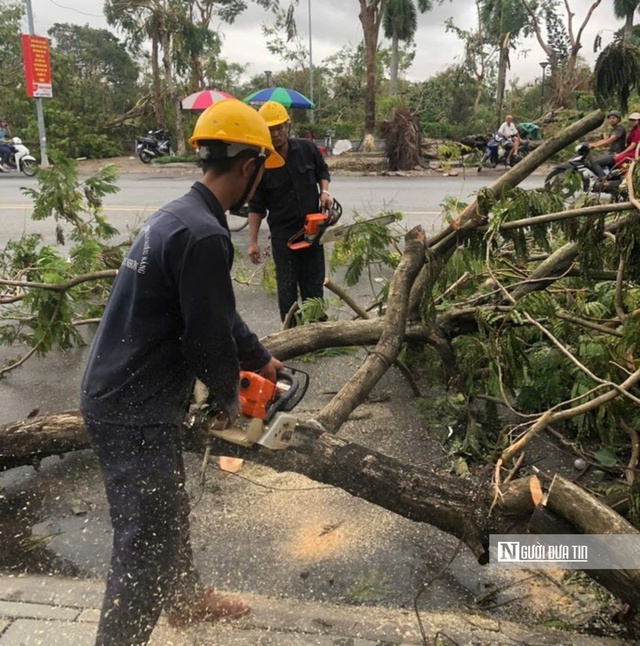 Công nhân kỹ thuật cây xanh của Công ty CP Công ty Cây xanh và Chiếu sáng đô thị Quy Nhơn dọn dẹp cây đổ ngã tại Tp. Hải Phòng. Ảnh ĐVCC