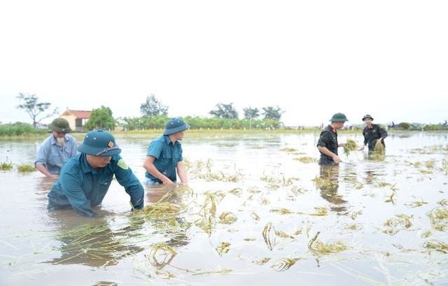 Hà Nội: Báo động lũ mức 1 trên sông Đà tại địa phận Ba Vì- Ảnh 1.