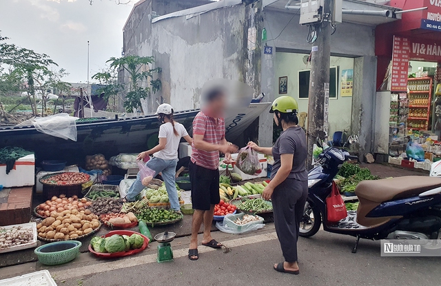 Hải Phòng: Giá rau xanh tại nhiều chợ dân sinh “nhảy múa” sau bão- Ảnh 1.