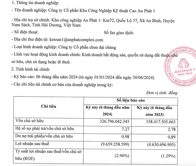 Công ty chuyên mảng BĐS thuộc hệ sinh thái An Phát Holdings tăng nợ bằng lần- Ảnh 1.