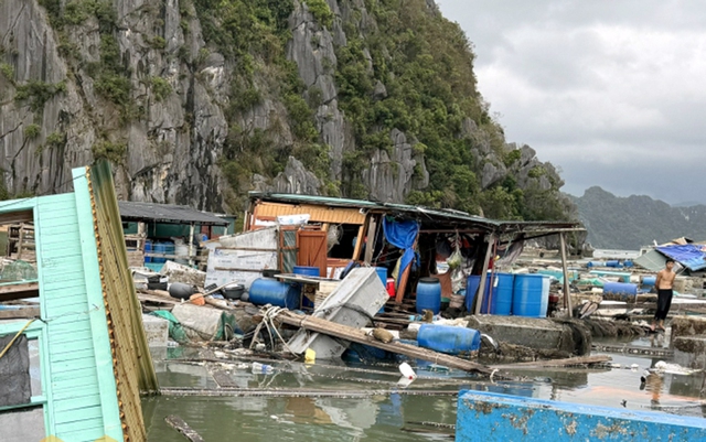 Quảng Ninh: Nhiều hộ nuôi trồng thuỷ sản phản ánh tình trạng “hôi của” sau bão- Ảnh 1.