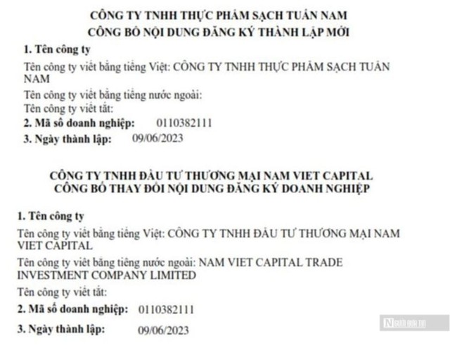 Thành lập chưa tròn 1 năm, Thực phẩm sạch Tuấn Nam đã được đổi tên thành Nam Việt Capital, thay đổi người đại diện pháp luật, tăng vốn điều lệ từ 800 triệu lên 49 tỷ đồng và tăng hàng loạt ngành nghề kinh doanh…