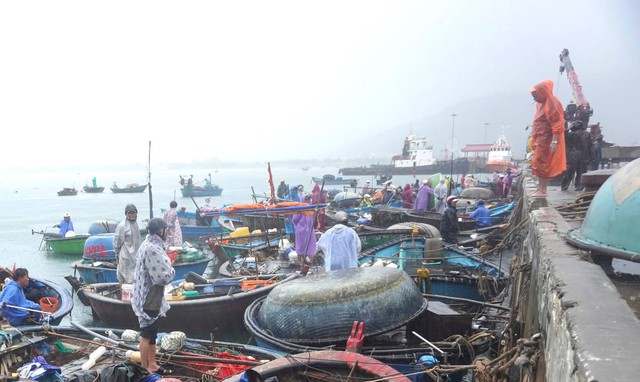 Tại các bến cảng, cảnh tượng ngư dân cùng nhau kéo thuyền vào bờ, chằng buộc chắc chắn để tránh gió bão là điều dễ dàng nhận thấy.