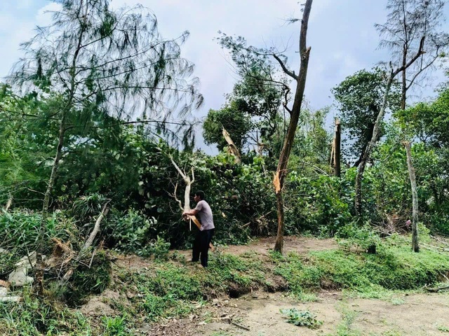 Hà Tĩnh: Giông lốc trong mưa thổi bay nhiều mái nhà- Ảnh 5.