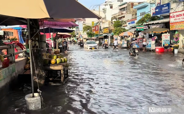 Giải bài toán chống ngập cho Tp.HCM- Ảnh 2.