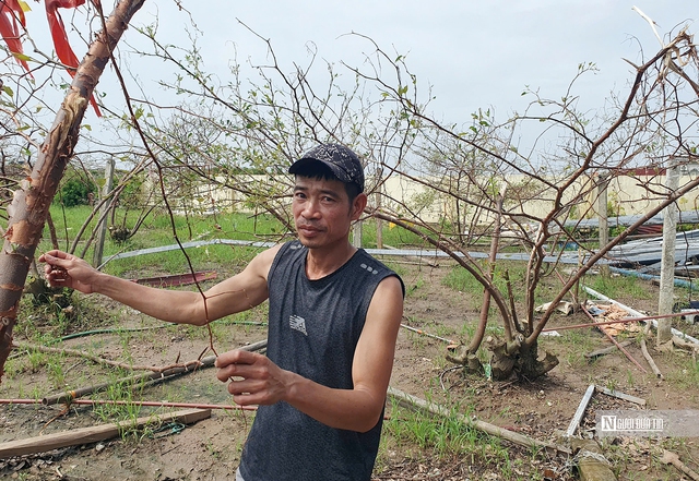 Nông dân Hải Phòng nỗ lực cứu vãn vụ nông sản Tết- Ảnh 3.