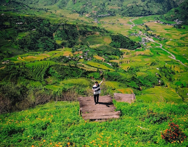 Ngắm ruộng bậc thang mùa lúa chín ở xứ Mù- Ảnh 3.