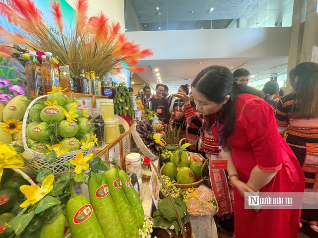 Nhờ áp dụng tiến bộ khoa học kỹ thuật, người dân ở vùng núi sản xuất nông sản chất lượng, thu hút nhiều khách hàng tìm mua. Ảnh: Thu Dịu