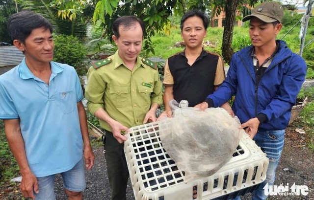 Đi bơi, bất ngờ phát hiện loài vật quý hiếm dưới đáy hồ- Ảnh 2.