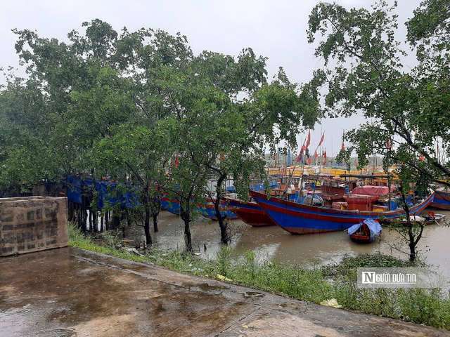 Chủ động ứng phó siêu bão Yagi từ 