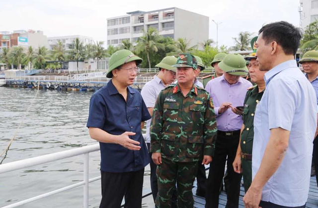 Lãnh đạo tỉnh Quảng Ninh kiểm tra công tác phòng, chống bão số 3- Ảnh 1.