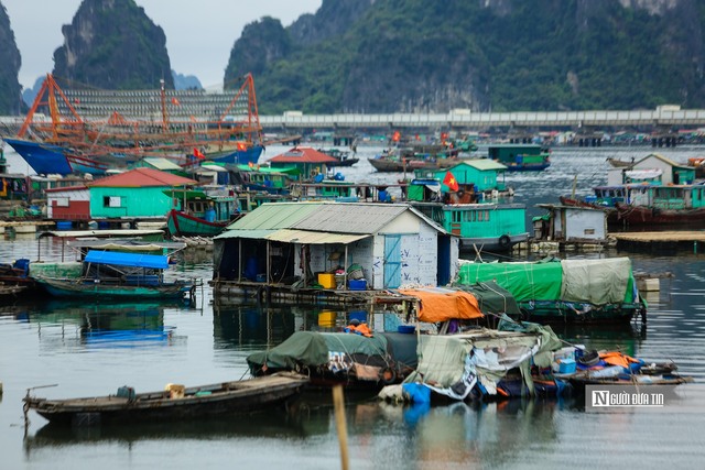 Kiên quyết sơ tán người dân trên các tàu cá đến nơi an toàn- Ảnh 1.