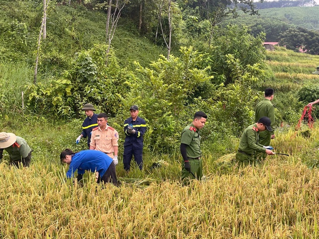 Hình ảnh đẹp: Chiến sĩ công an, đoàn thanh niên xuống đồng gặt lúa giúp dân “chạy” bão- Ảnh 1.