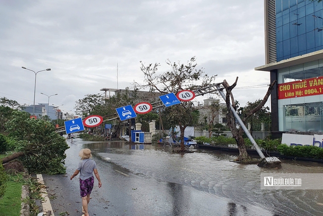 Hải Phòng và Quảng Ninh khẩn trương khắc phục hậu quả sau bão- Ảnh 6.