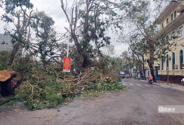 Hải Phòng và Quảng Ninh khẩn trương khắc phục hậu quả sau bão- Ảnh 2.