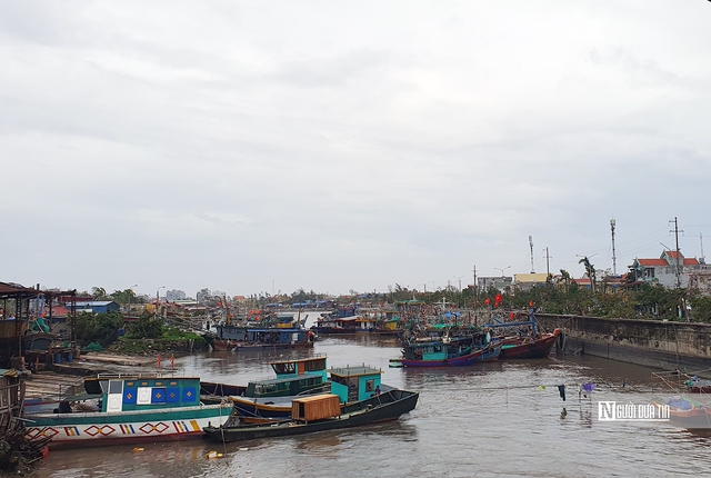 Hải Phòng và Quảng Ninh khẩn trương khắc phục hậu quả sau bão- Ảnh 8.