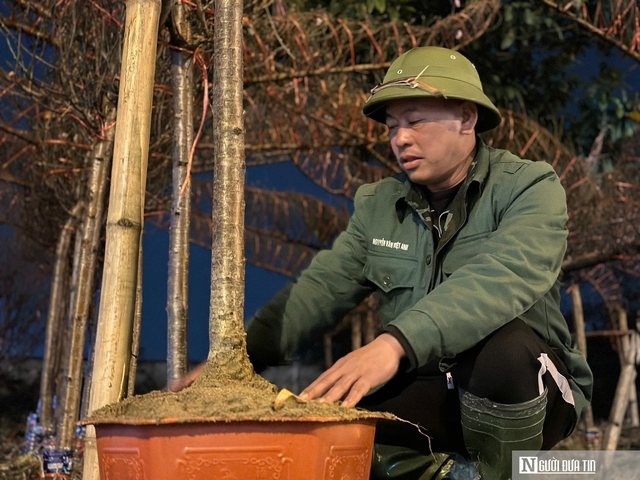 Tiểu thương thức trắng đêm "canh" đào trong giá rét- Ảnh 2.