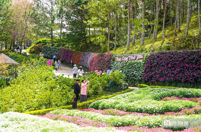 Đầu năm mới, lượng du khách đến Tp.Đà Lạt du xuân tăng vọt- Ảnh 9.