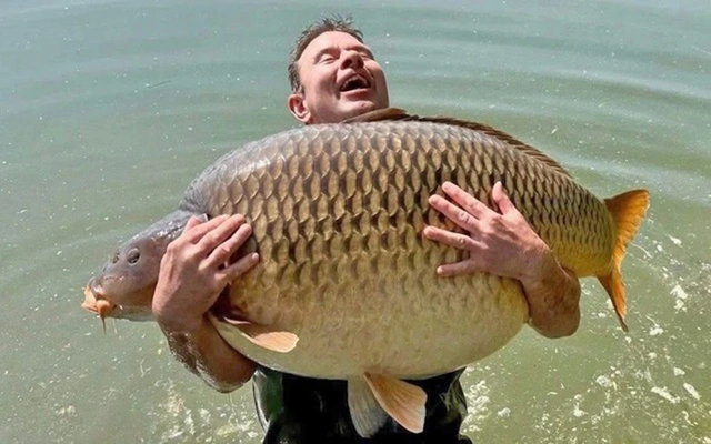 Đi câu cá "giải sầu", người đàn ông câu được con cá chép "khổng lồ" - Ảnh 1.