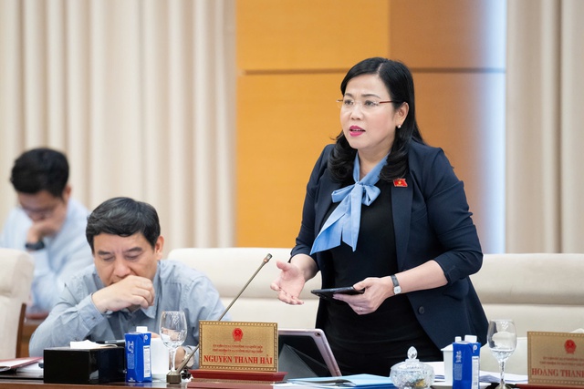 Bổ sung các quy định riêng về quản lý, chế biến và sử dụng đất hiếm - Ảnh 3.