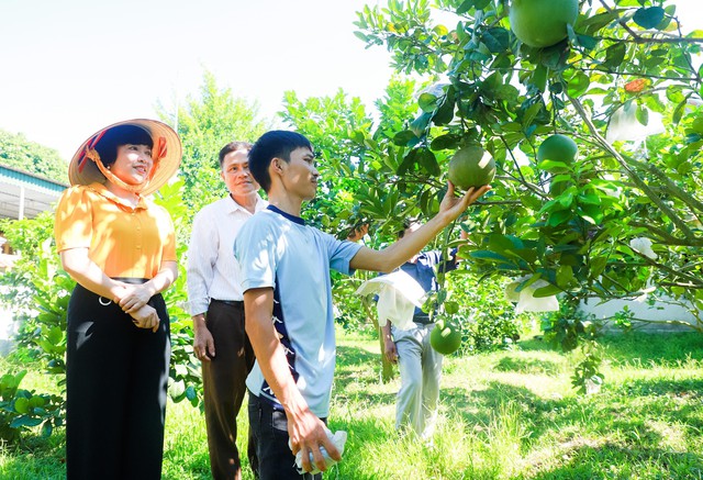 Nghệ An tập trung gỡ vướng mắc để phân bổ, giải ngân nguồn vốn giảm nghèo bền vững- Ảnh 2. Nghệ An tập trung gỡ vướng mắc để phân bổ, giải ngân nguồn vốn giảm nghèo bền vững- Ảnh 2.