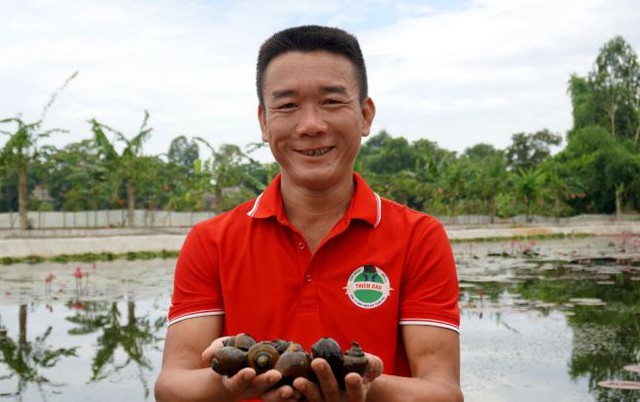 Anh nông dân nuôi con "hiền lành, mắn đẻ", nhẹ nhàng đút túi 2 tỷ đồng/năm- Ảnh 1. Anh nông dân nuôi con "hiền lành, mắn đẻ", nhẹ nhàng đút túi 2 tỷ đồng/năm- Ảnh 1.