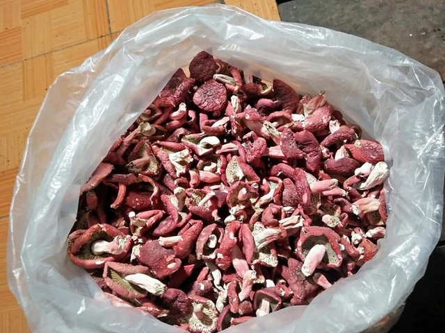 Loại nấm có tên rất lạ, chỉ xuất hiện ban đêm là đặc sản với hương vị đặc biệt - Ảnh 4.