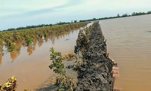 Nước lũ lên nhanh: Đồng Tháp Mười Tây Ninh căng mình chống đỡ - Ảnh 2.
