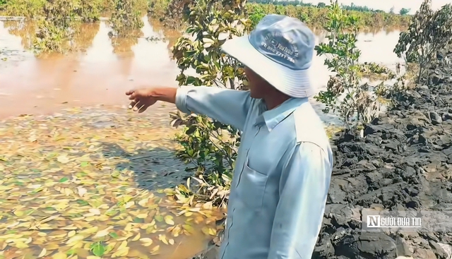 Nước lũ lên nhanh: Đồng Tháp Mười Tây Ninh căng mình chống đỡ - Ảnh 23.