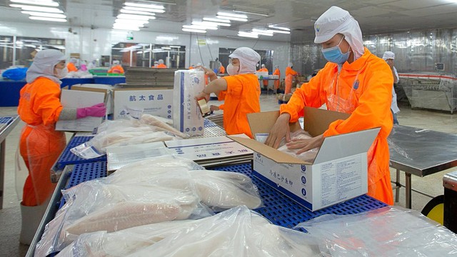 Doanh thu vượt 2.000 tỷ đồng, Thủy sản Nam Việt báo lãi tăng chục lần - Ảnh 1.
