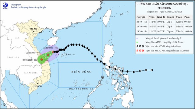 Thủ tướng chỉ đạo khẩn ứng phó mưa lũ lớn tại Trung Trung Bộ - Ảnh 1.