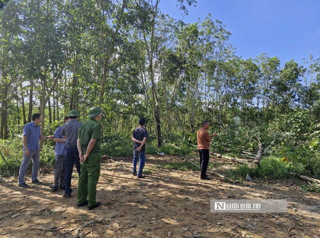 Tranh chấp về thanh lý cây cao su khiến xây khu tái định cư phục vụ "siêu dự án" thủy lợi đình trệ- Ảnh 2. Tranh chấp về thanh lý cây cao su khiến xây khu tái định cư phục vụ "siêu dự án" thủy lợi đình trệ- Ảnh 2.