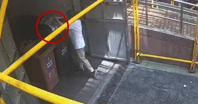 Dọn nhà giúp mẹ, cô gái vứt hộp vàng trị giá 1,8 tỷ đồng vào thùng rác - Ảnh 1.