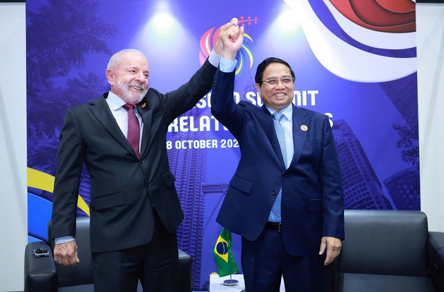 Brasil đang đẩy nhanh việc công nhận Quy chế Kinh tế thị trường của Việt Nam- Ảnh 1. Brasil đang đẩy nhanh việc công nhận Quy chế Kinh tế thị trường của Việt Nam- Ảnh 1.