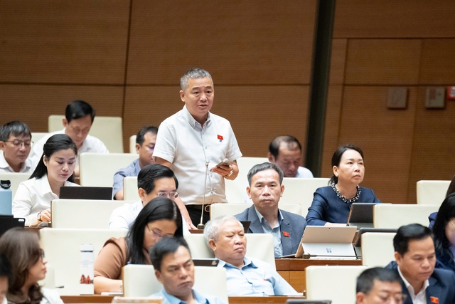 Cần xây dựng ứng dụng để người dân phản ánh tình trạng cây xanh ven đường - Ảnh 2.