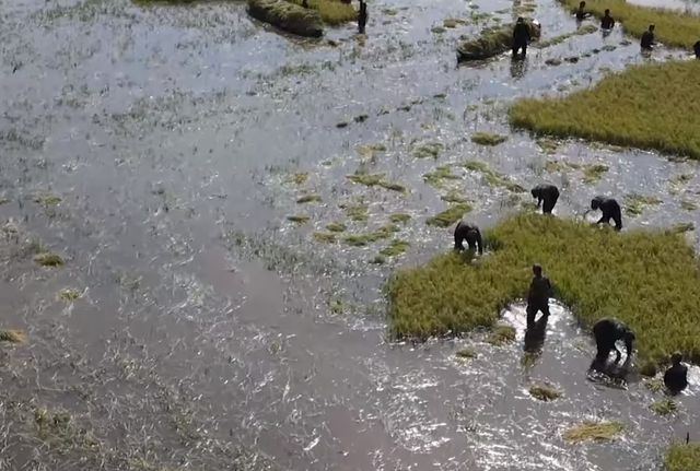 Tây Ninh khi lũ tràn đồng, tình quân dân lại dâng cao hơn con nước- Ảnh 4. Tây Ninh khi lũ tràn đồng, tình quân dân lại dâng cao hơn con nước- Ảnh 4.