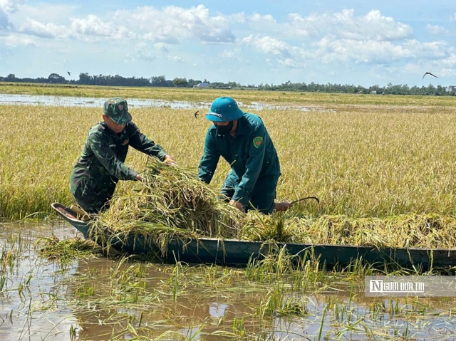Tây Ninh khi lũ tràn đồng, tình quân dân lại dâng cao hơn con nước- Ảnh 9. Tây Ninh khi lũ tràn đồng, tình quân dân lại dâng cao hơn con nước- Ảnh 9.