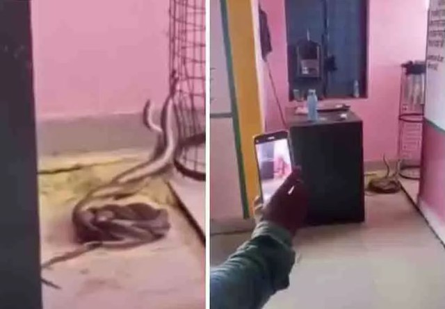 Học sinh la hét khi chứng kiến cảnh tượng đáng sợ trong lớp học - Ảnh 1.