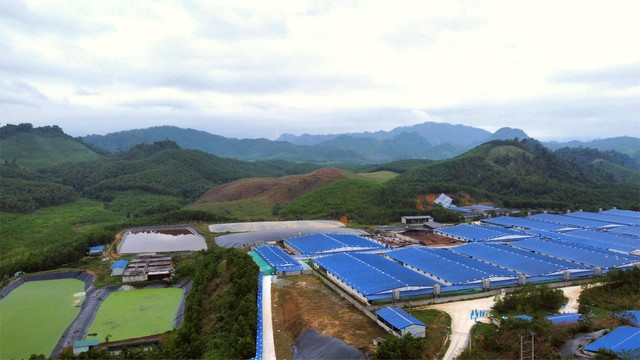 Thanh Hóa: Trại lợn gây ô nhiễm, bị yêu cầu dừng hoạt động vào năm 2026- Ảnh 1. Thanh Hóa: Trại lợn gây ô nhiễm, bị yêu cầu dừng hoạt động vào năm 2026- Ảnh 1.