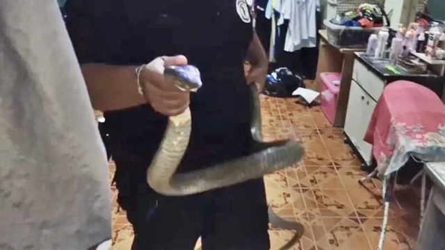 Nhìn xuống gầm kệ, người đàn ông phát hiện cảnh tượng "nổi da gà" giữa đêm - Ảnh 2.