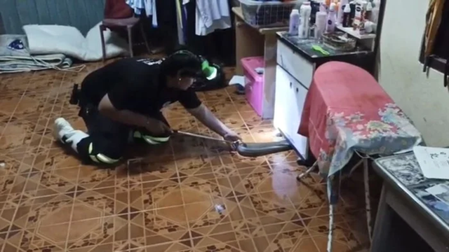 Nhìn xuống gầm kệ, người đàn ông phát hiện cảnh tượng "nổi da gà" giữa đêm - Ảnh 1.