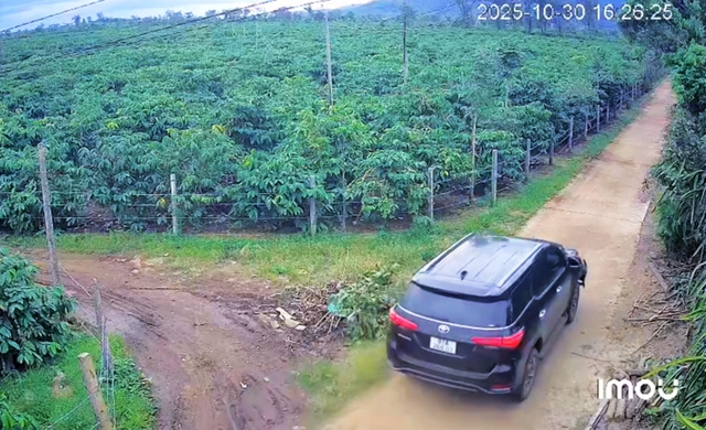 Tông người đi xe máy tử vong, tài xế lái ô tô bỏ trốn vào rẫy cà phê - Ảnh 1.