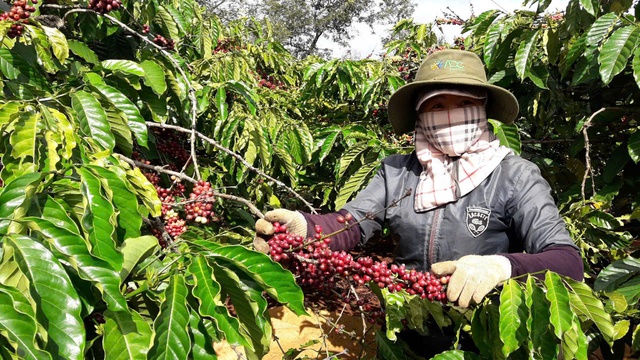 Gia Lai với mục tiêu tăng trưởng 10-10,5%/năm trong nhiệm kỳ 2025-2030- Ảnh 4.