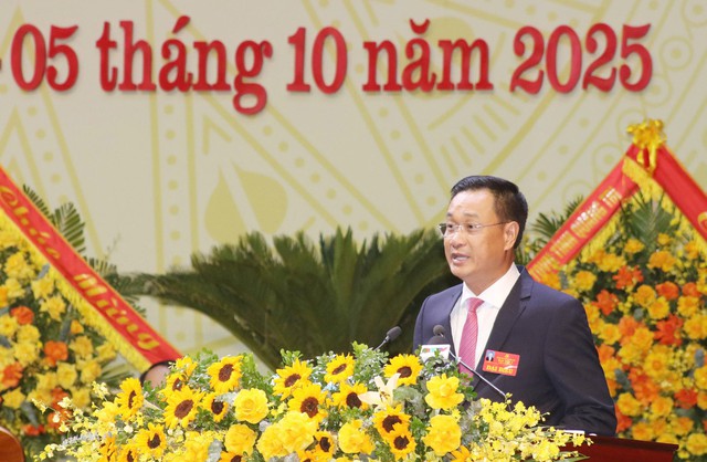 Quảng Trị xác định 4 trụ cột: Năng lượng - Logistics - Du lịch - Nông nghiệp xanh- Ảnh 4.