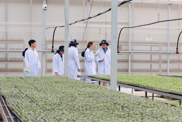 Gia Lai xây dựng kế hoạch đổi mới công nghệ các ngành kinh tế mũi nhọn đến năm 2035- Ảnh 1.