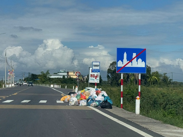 Đà Nẵng: Người dân bất an, lo ô nhiễm vì rác tập kết đầy đường- Ảnh 3.