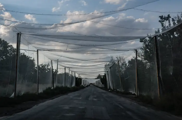 Nguyên nhân Ukraine cần lưới đánh cá “càng nhiều càng tốt”- Ảnh 1.