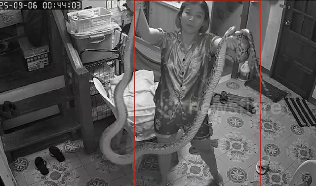Người phụ nữ dùng tay không tóm gọn trăn khủng tấn công mèo - Ảnh 1.