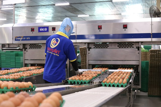Trứng gà Ba Huân: Từ gánh hàng rong đến biểu tượng ngành trứng Việt - Ảnh 2.