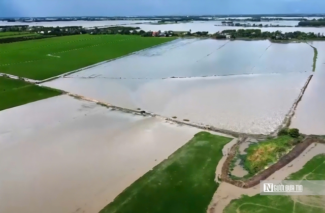 Khi mùa nước nổi không còn là “mùa lộc trời”- Ảnh 4. Khi mùa nước nổi không còn là “mùa lộc trời”- Ảnh 4.